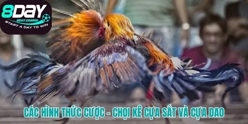 Tìm hiểu những hình thức cá cược trong đá gà
