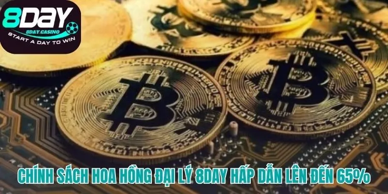 Hoa hồng đại lý 8DAY đạt mức 65% dựa trên lãi ròng