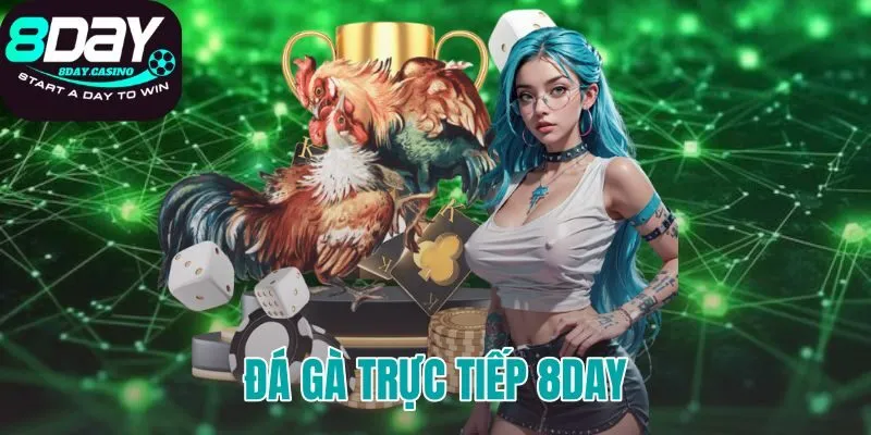 đá gà trực tiếp 8DAY