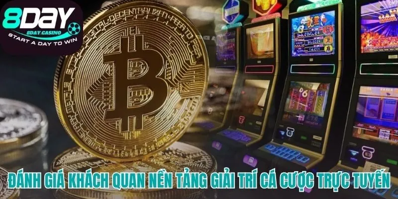 Giới thiệu 8DAY qua góc nhìn ưu điểm và hạn chế