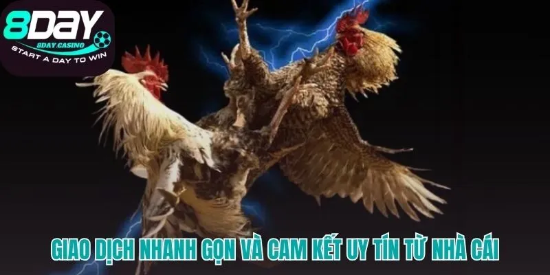 Hệ thống giao dịch đá gà 8DAY xử lý rút tiền chỉ trong 5 phút