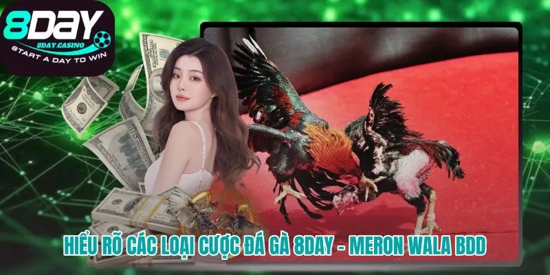 Nền tảng soi kèo đá gà 8DAY từ ba cửa cược chính