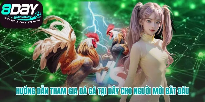 Lộ trình tham gia nhanh chóng cho người chơi mới tại 8DAY