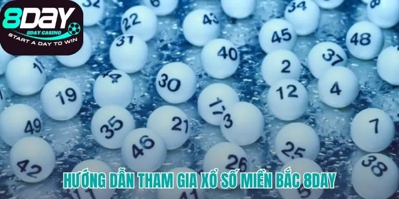 Các bước đặt cược xổ số miền Bắc 8DAY nhanh chóng