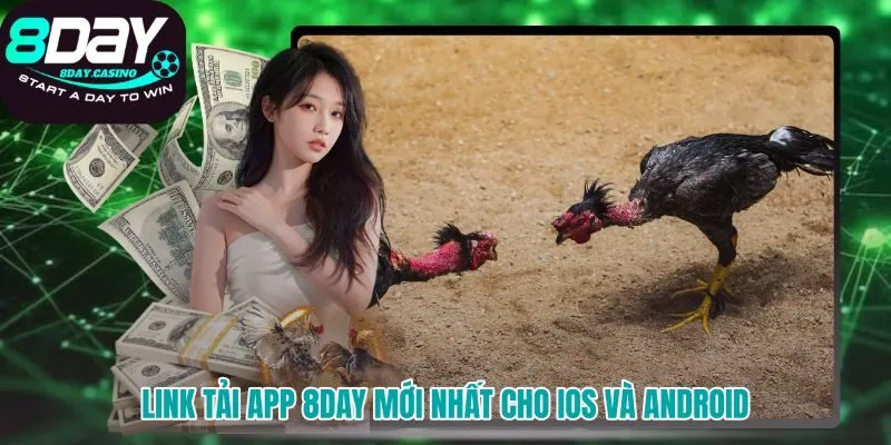 Tải app chơi đá gà 999 8DAY mượt mà không lo bị chặn